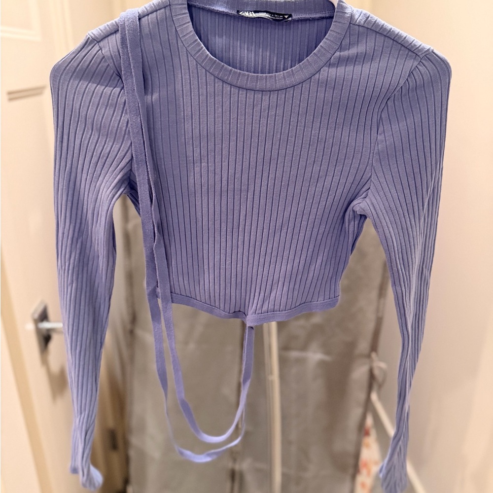 Zara Ribbed Purple Long Sleeve Crop Top